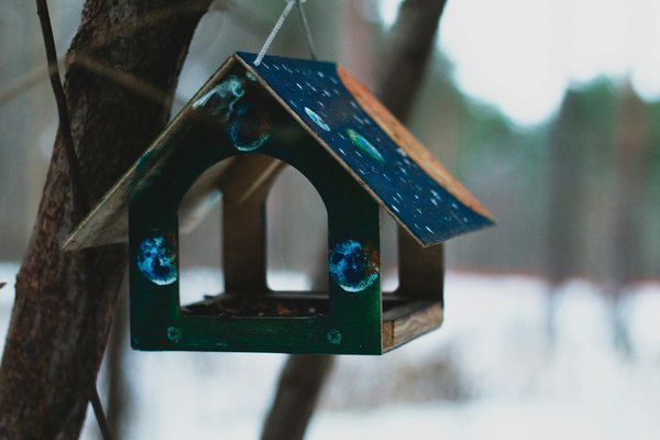 Comment devenir un expert en gestion de la qualité de l'air en milieu urbain ?